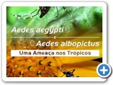 video_genilton_segundo