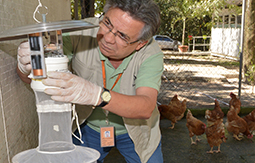 Jovem Cientista