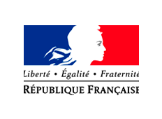 Governo Francês