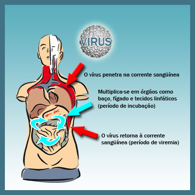 Notícias do IOC Notícias do IOC